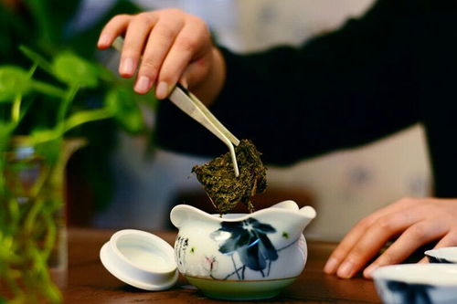 國津茯茶加盟優(yōu)勢 專業(yè)倉儲服務(wù)助力共贏發(fā)展